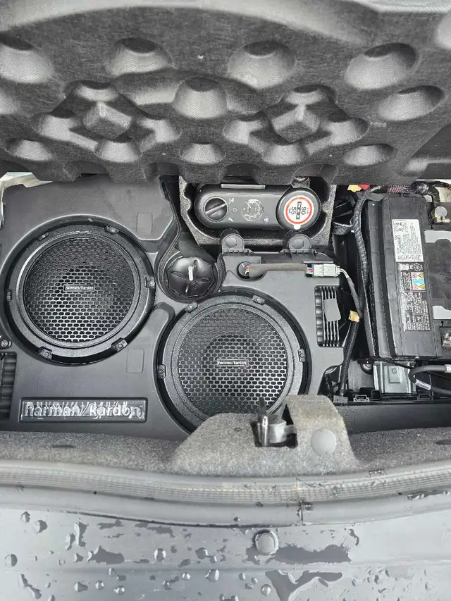 2016 Challenger SRT 392 HEMI - Photo 8