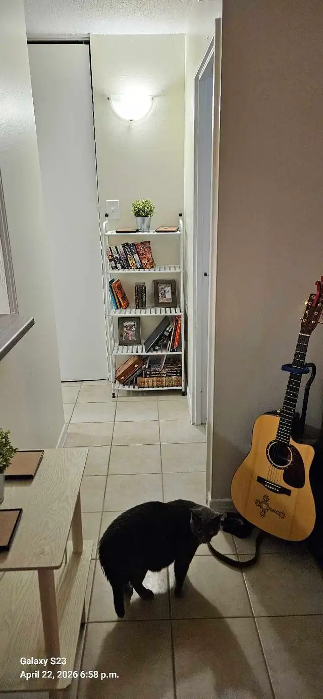 1st month free! 1 bedroom apartment - Photo 9