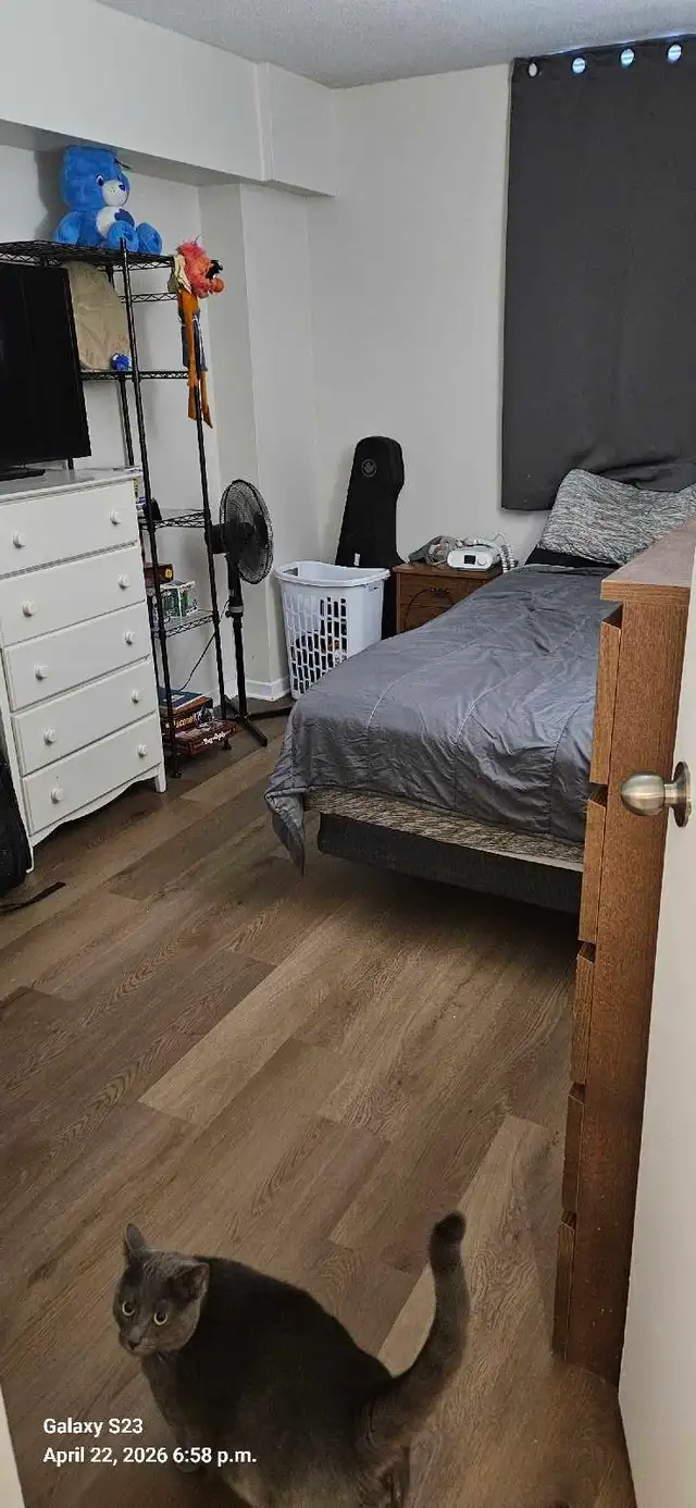 1st month free! 1 bedroom apartment - Photo 10