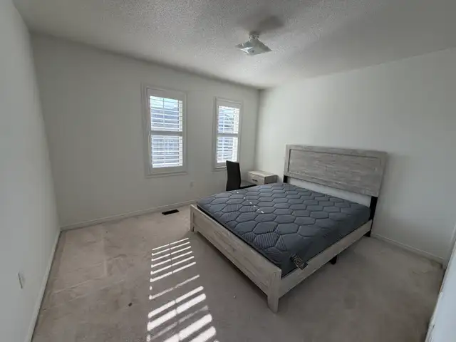 3-Bedroom House For Rent: Markham Rd & Denison Stree - Photo 6