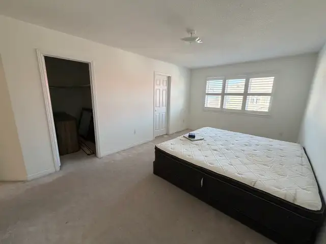 3-Bedroom House For Rent: Markham Rd & Denison Stree - Photo 8