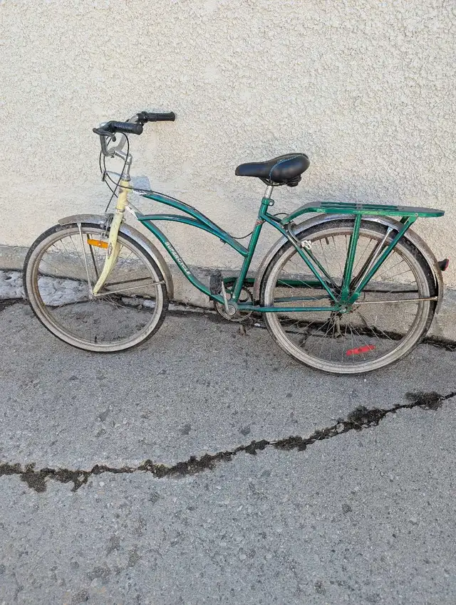 Ladies, Girls 5 speed Bike