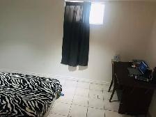 Two Bed Room Basement apartment for rent - Photo 4