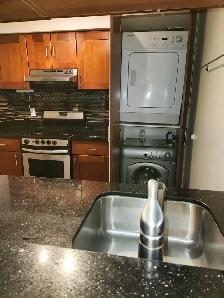 For Rent, 1bdrm Sol., downtown Toronto, Bay St - Photo 5