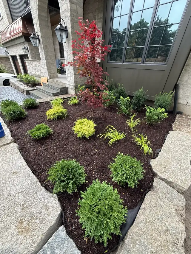 Landscape Design, Garden & Planting Services