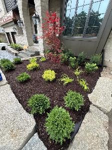 Landscape Design, Garden & Planting Services
