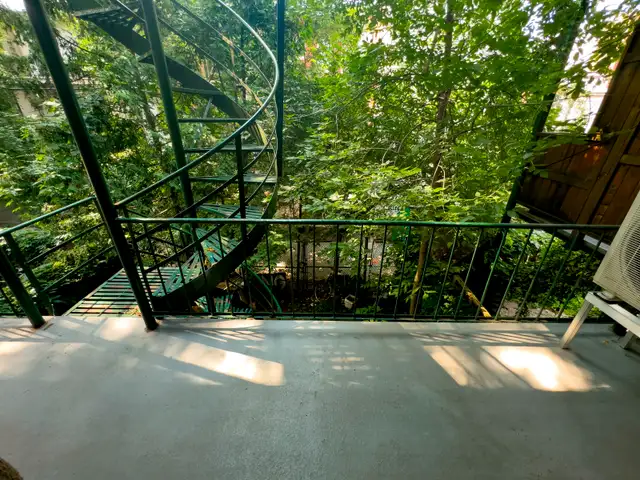 Grand 3 ½ plateau Mont-Royal près du parc DeLorimier - Photo 8