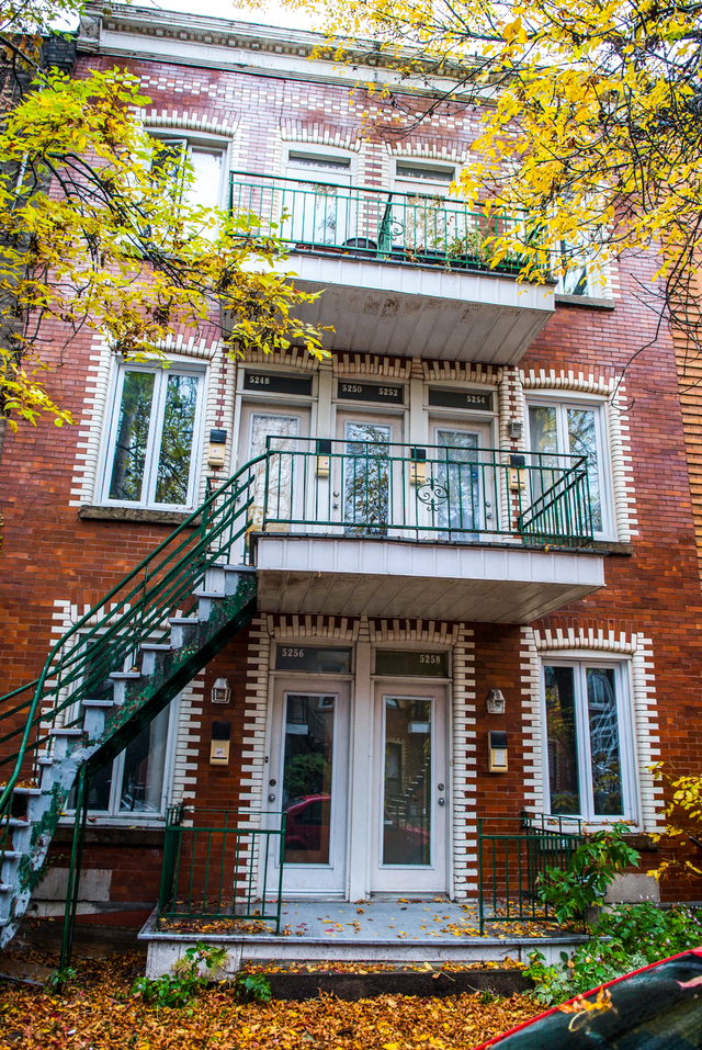 Grand 3 ½ plateau Mont-Royal près du parc DeLorimier - Photo 9