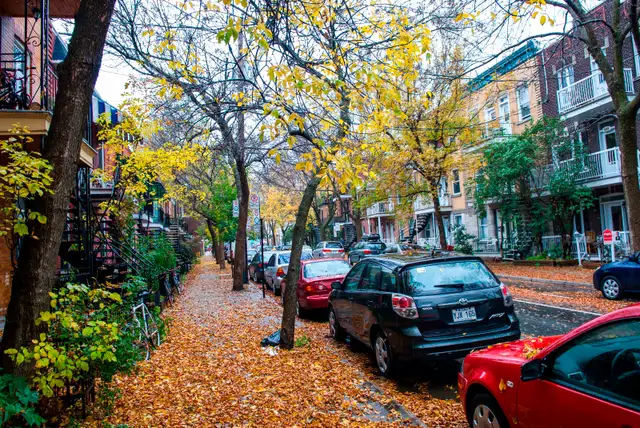 Grand 3 ½ plateau Mont-Royal près du parc DeLorimier - Photo 10