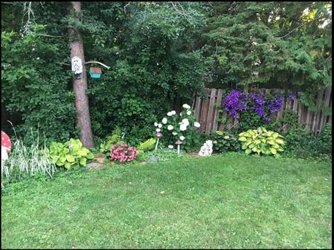 3BR main-floor house, private backyard Freshly painted - Photo 9