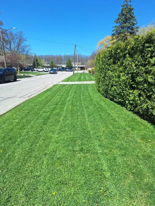Lawn Mowing - Photo 2
