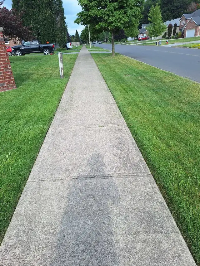 Lawn Mowing - Photo 3