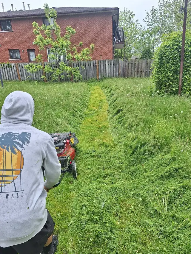 Lawn Mowing - Photo 4