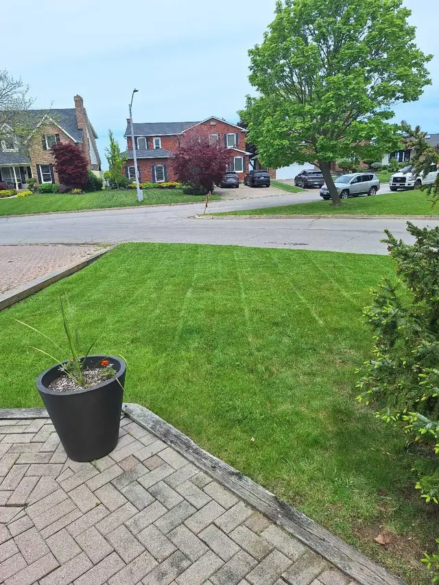 Lawn Mowing - Photo 5