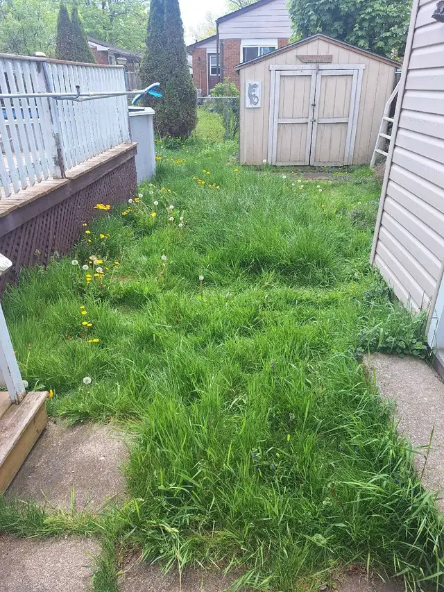 Lawn Mowing - Photo 6