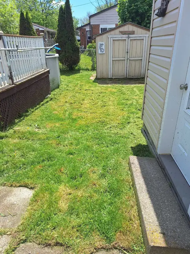 Lawn Mowing - Photo 7