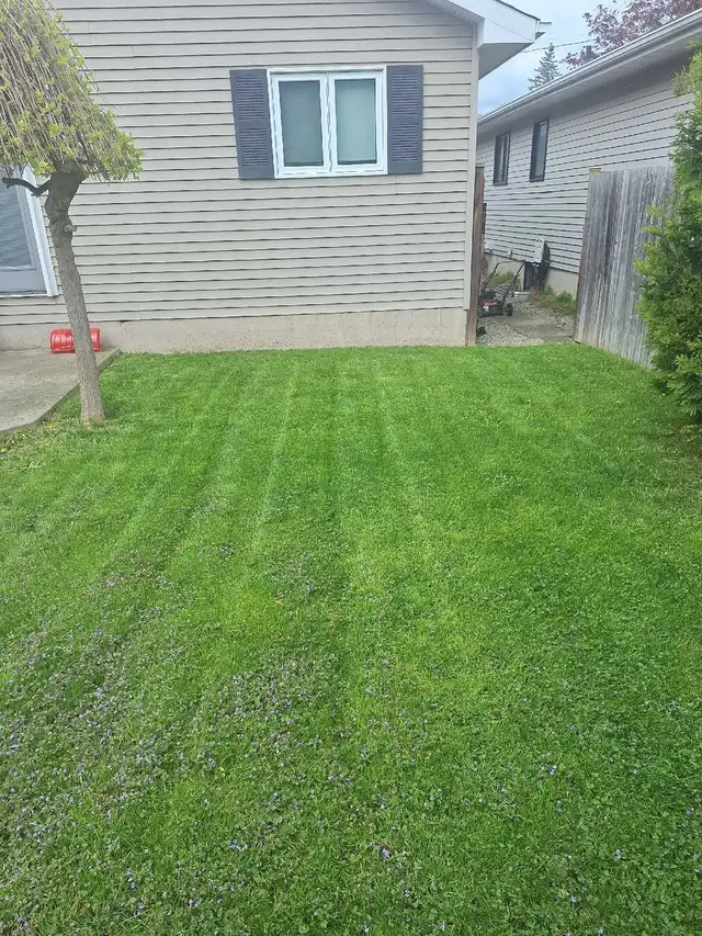 Lawn Mowing - Photo 8