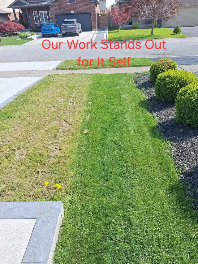 Lawn Mowing - Photo 10