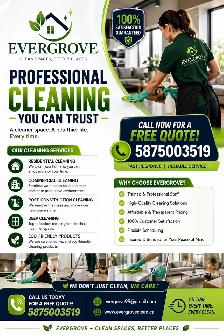cleaning service