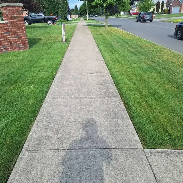 Lawn Fertilizer And Seeding - Photo 2