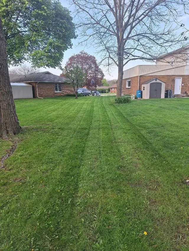 Lawn Fertilizer And Seeding - Photo 3