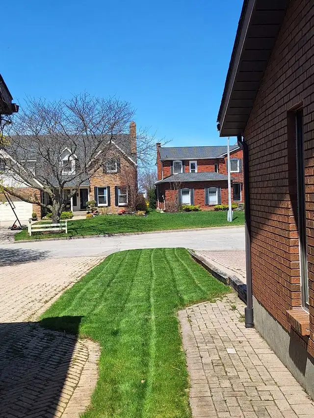 Lawn Fertilizer And Seeding - Photo 4