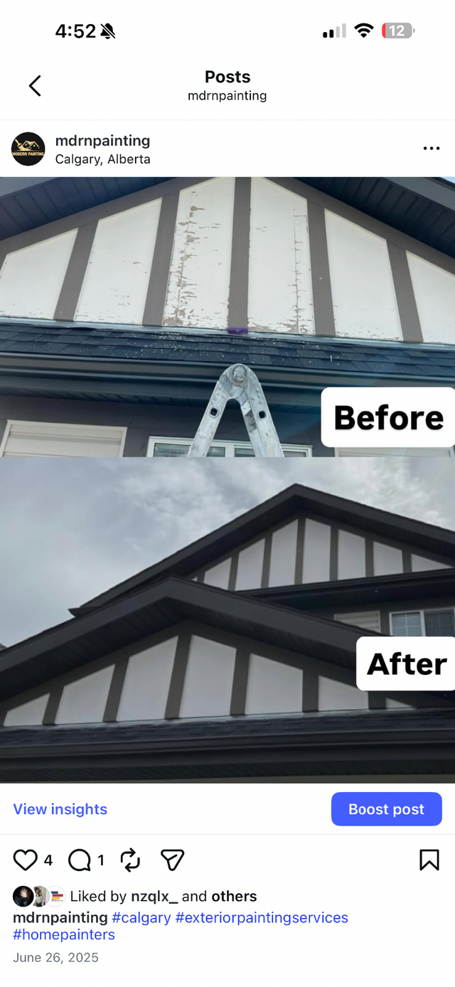 Professional painter (interior & exterior) - Photo 2