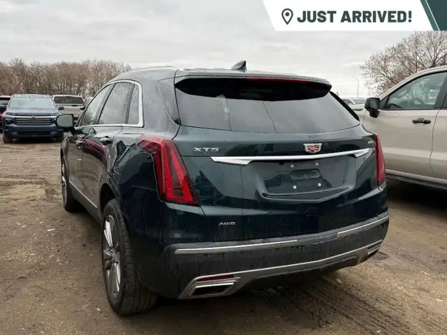2025 Cadillac XT5 Premium Luxury AWD | Heated & Ventilated - Photo 3
