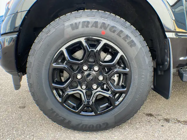 2026 Ford F-150 XLT 302A - Photo 9