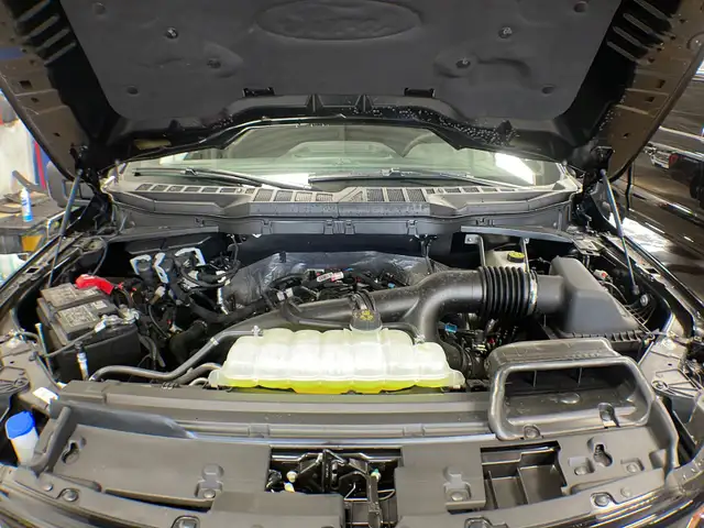 2026 Ford F-150 XLT 302A - Photo 11