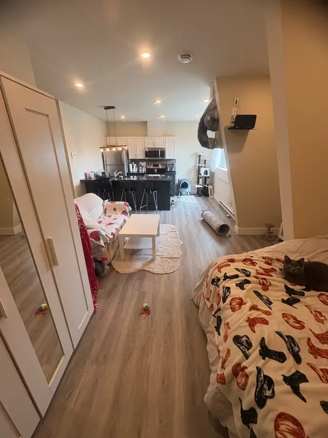 1049$/moisA Greenfield Park - Rive Sud - Photo 7