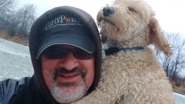 Pro Dog Walking – 10  Years Experience – Etobicoke & Mississauga - Photo 7