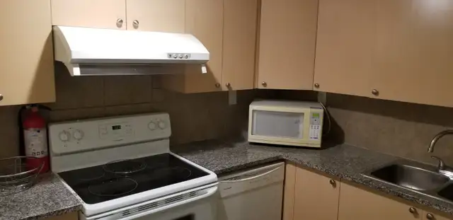 Basement Unit for Rent in Calgary NE - Photo 5