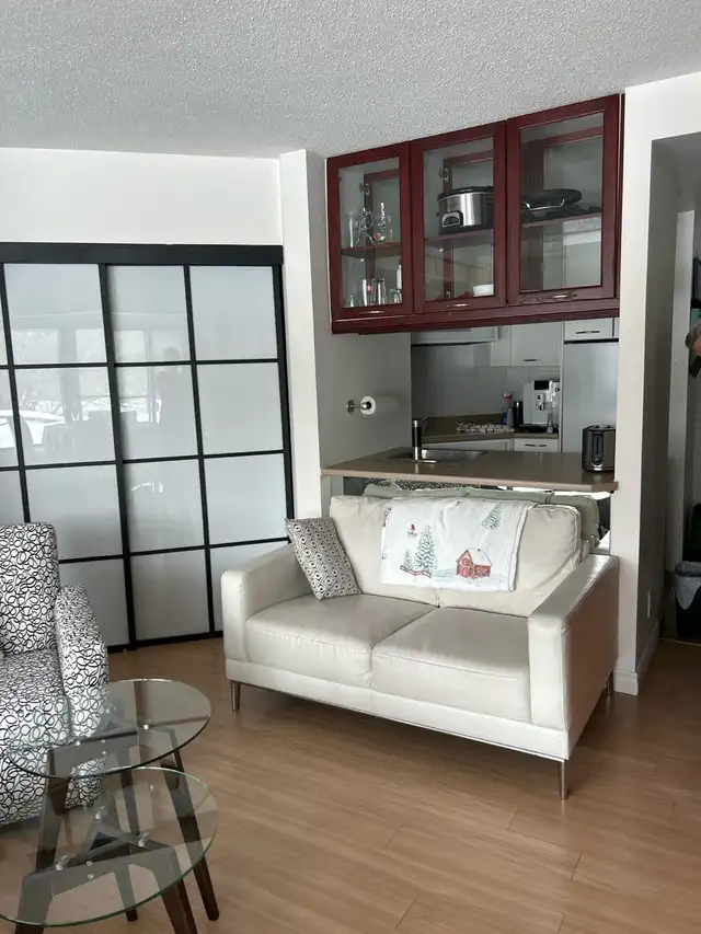 Condo au mont sainte Anne a beaupré - Photo 3