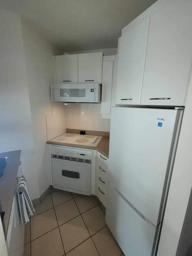 Condo au mont sainte Anne a beaupré - Photo 4