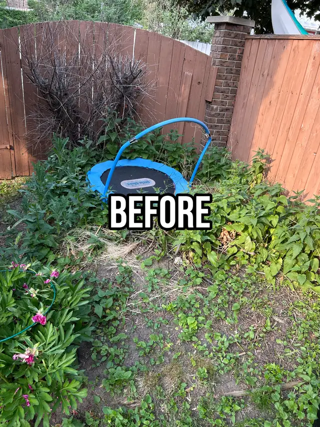 Spring Aeration and Landscaping - Photo 2