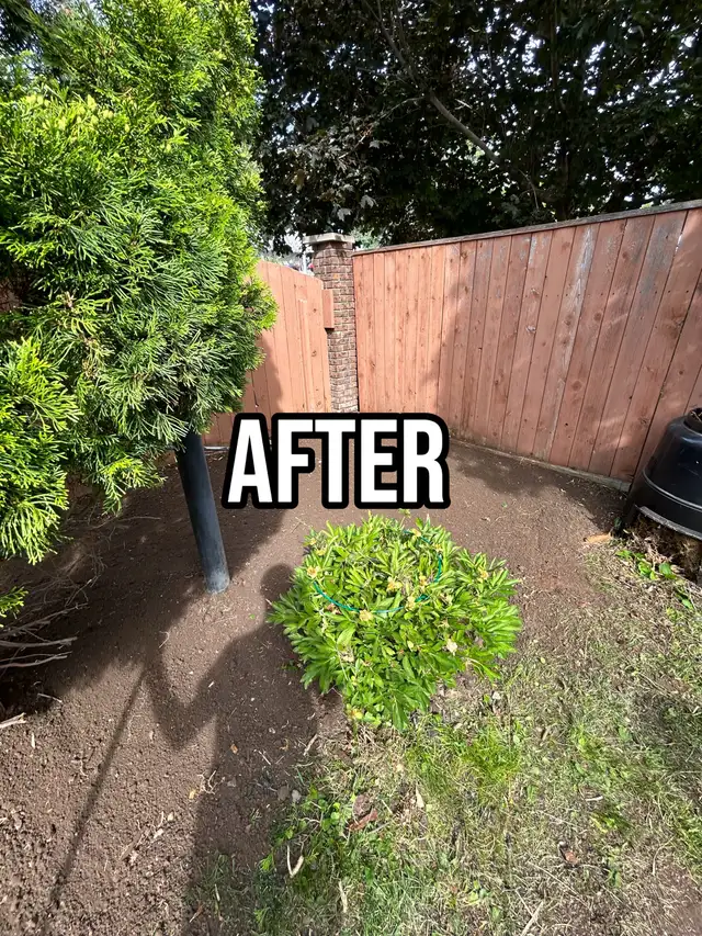 Spring Aeration and Landscaping - Photo 3