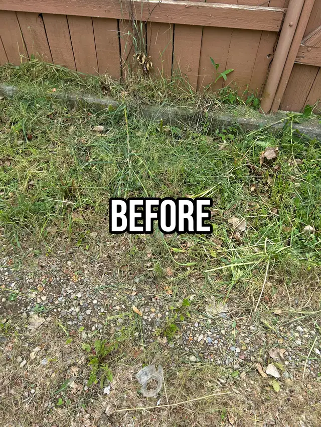 Spring Aeration and Landscaping - Photo 4