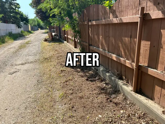 Spring Aeration and Landscaping - Photo 5