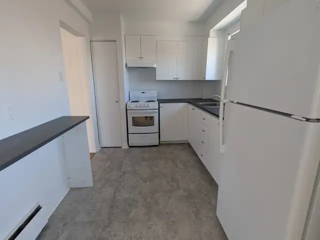 Beau GRAND 4½ LIBRE/CDN/POLY/ HEC/UdeM - Photo 2