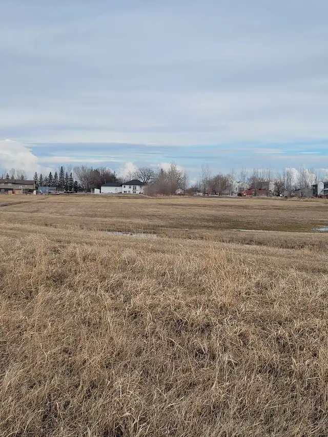 Country Yard - Photo 8