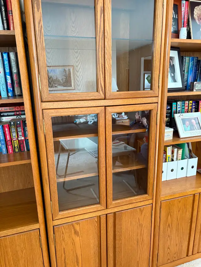 Solid wood wall unit/bookshelf/display case