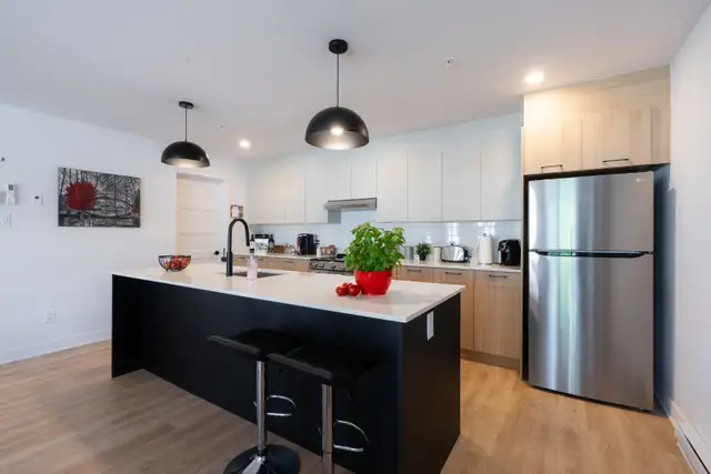 51 rue St-Louis, Saint-Eustache - 5 et demie - Photo 3