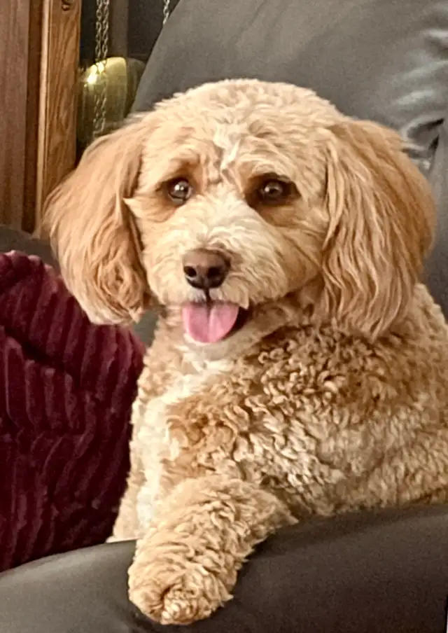 Personal Care Support Worker