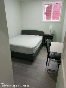 Room for Rent in Private Basement NEW Renovation, new Homestead