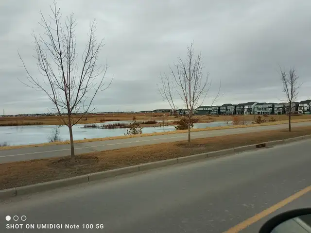 Room for Rent in Private Basement NEW Renovation, new Homestead - Photo 8