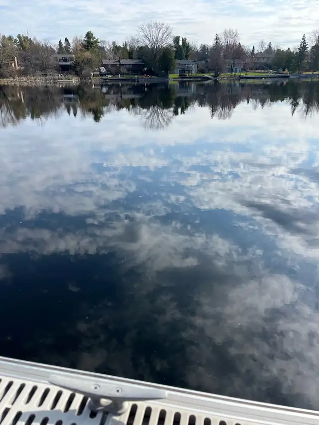 House Cleaning and sitter Manotick Barrhaven - Photo 4