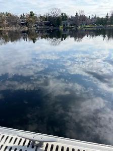 House Cleaning and sitter Manotick Barrhaven - Photo 4