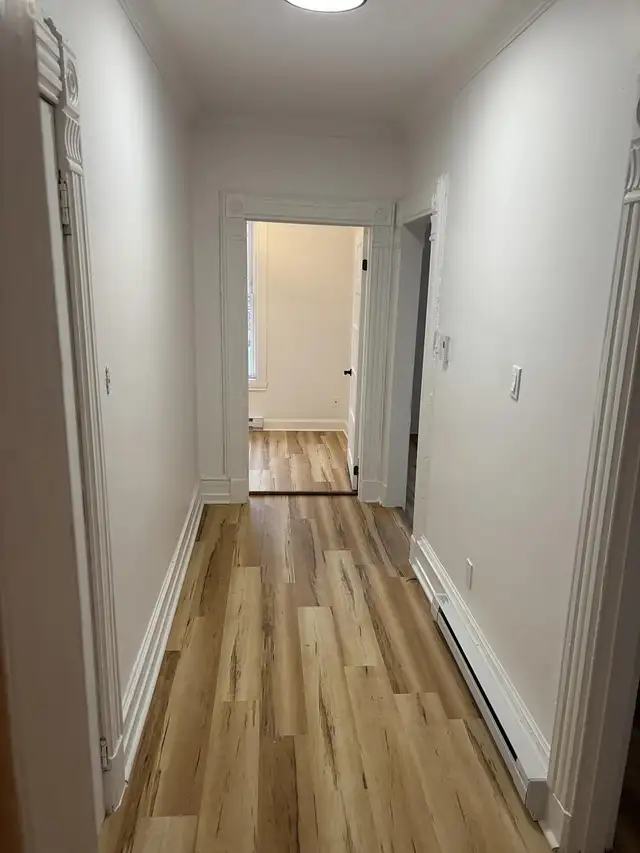 4 1/2 Rénové à louer rue de Rouville, Montréal - Photo 12