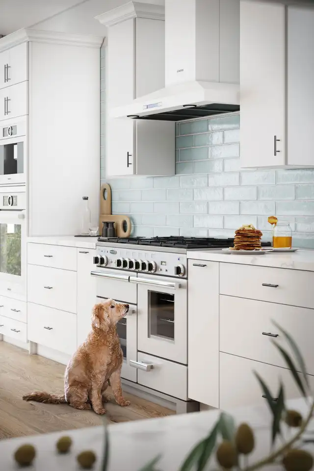 Fundamentals kitchen cabinet line – Best Quality You Can Trust - Photo 7